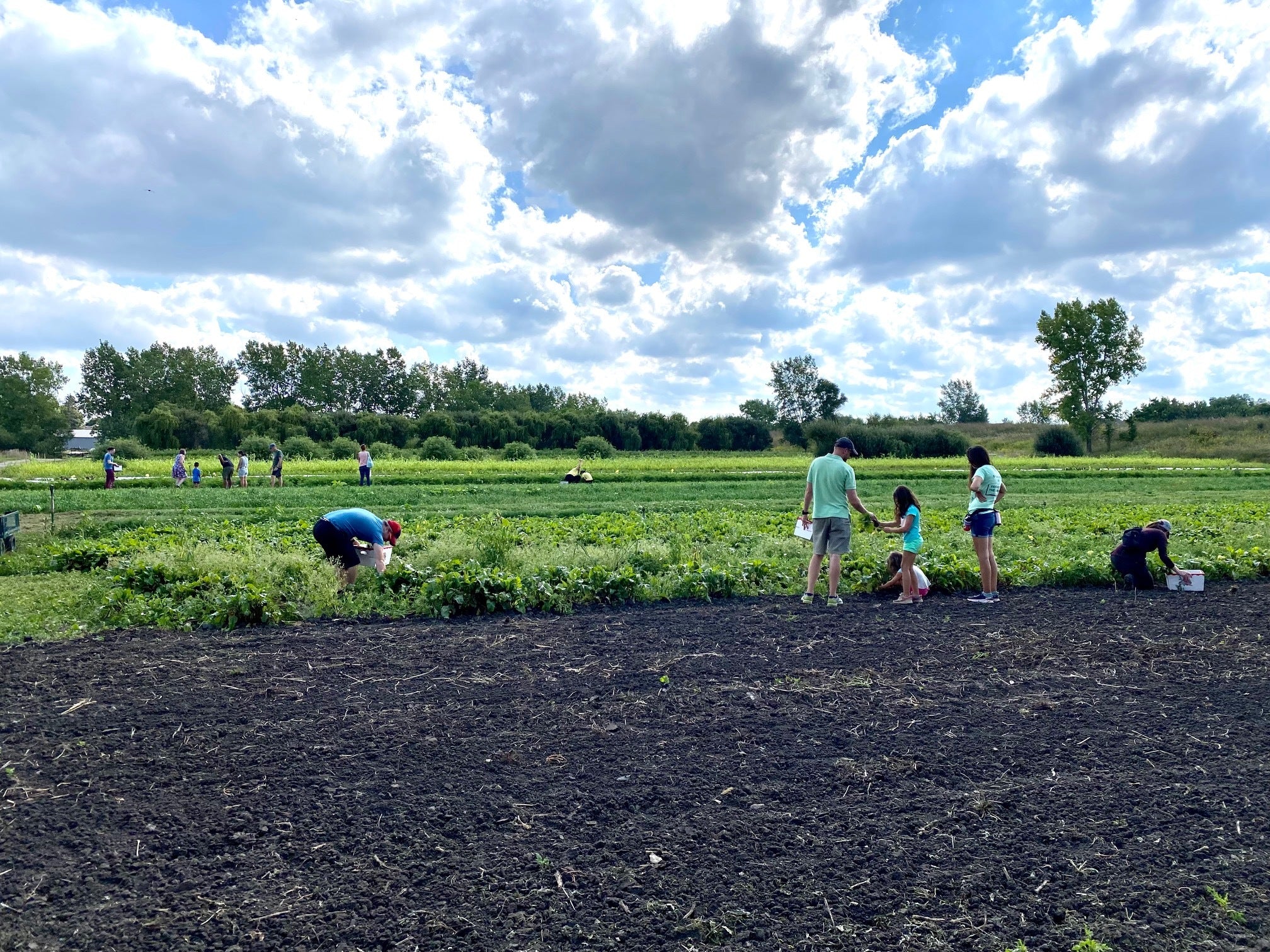 Community Supported Agriculture in Action